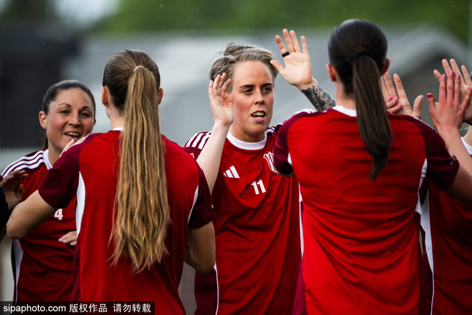 杏彩体育网页版-瑞典女足傲视群雄，一路高歌猛进的简单介绍